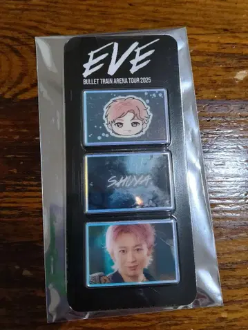 초특급 EVE 굿즈 사진 그레이 부품 슈야 군 레어 버전