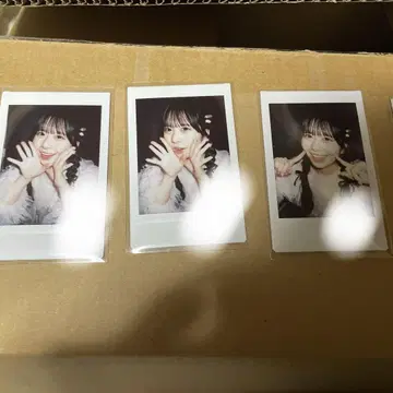 SWEET STEADY 쿠리타 나츠카 폴라로이드