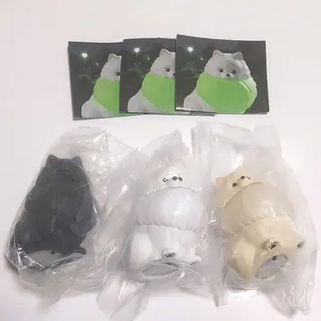 빛나는 목걸이를 한 산책용 포메 라이트 가챠 블랙 밀크 크림