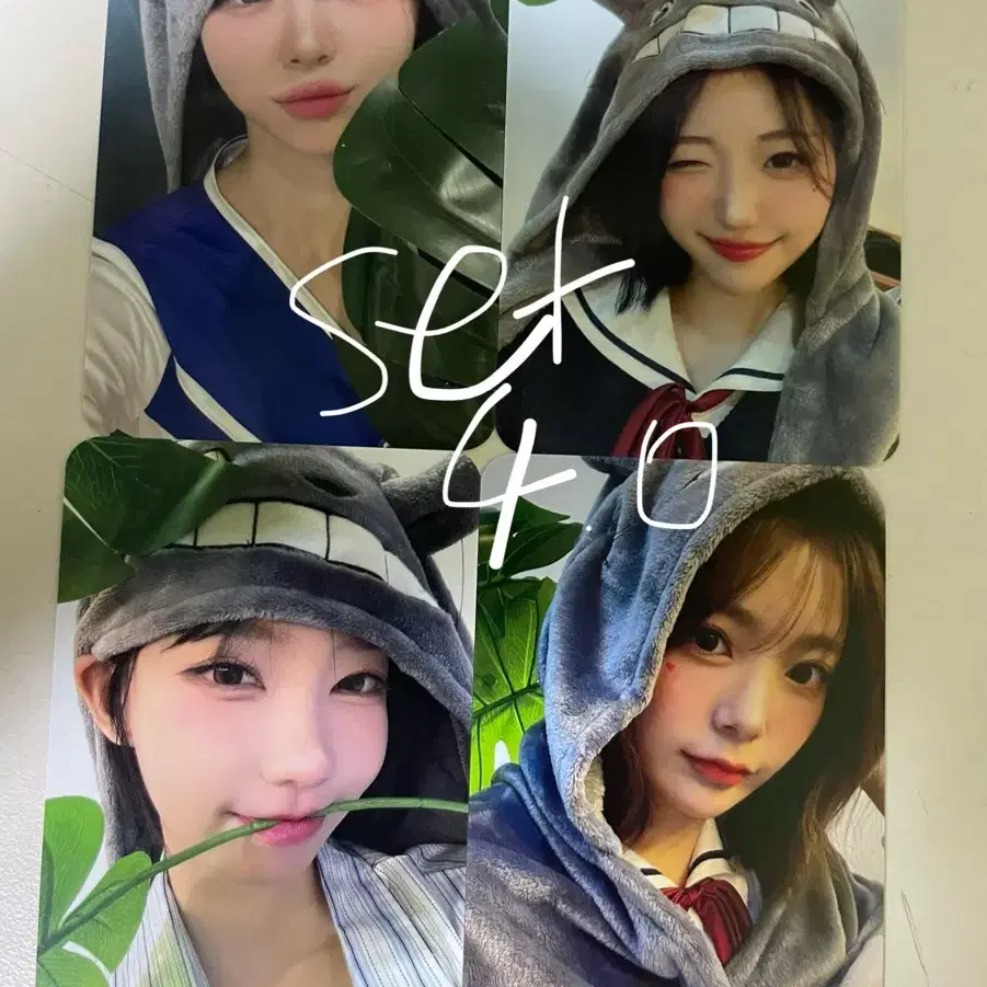 【当選】 QWER ヒナ トレカ MANITO 히나 포카 当選】QWER ヒナ トレカ MANITO 히나 포카 - メルカリ