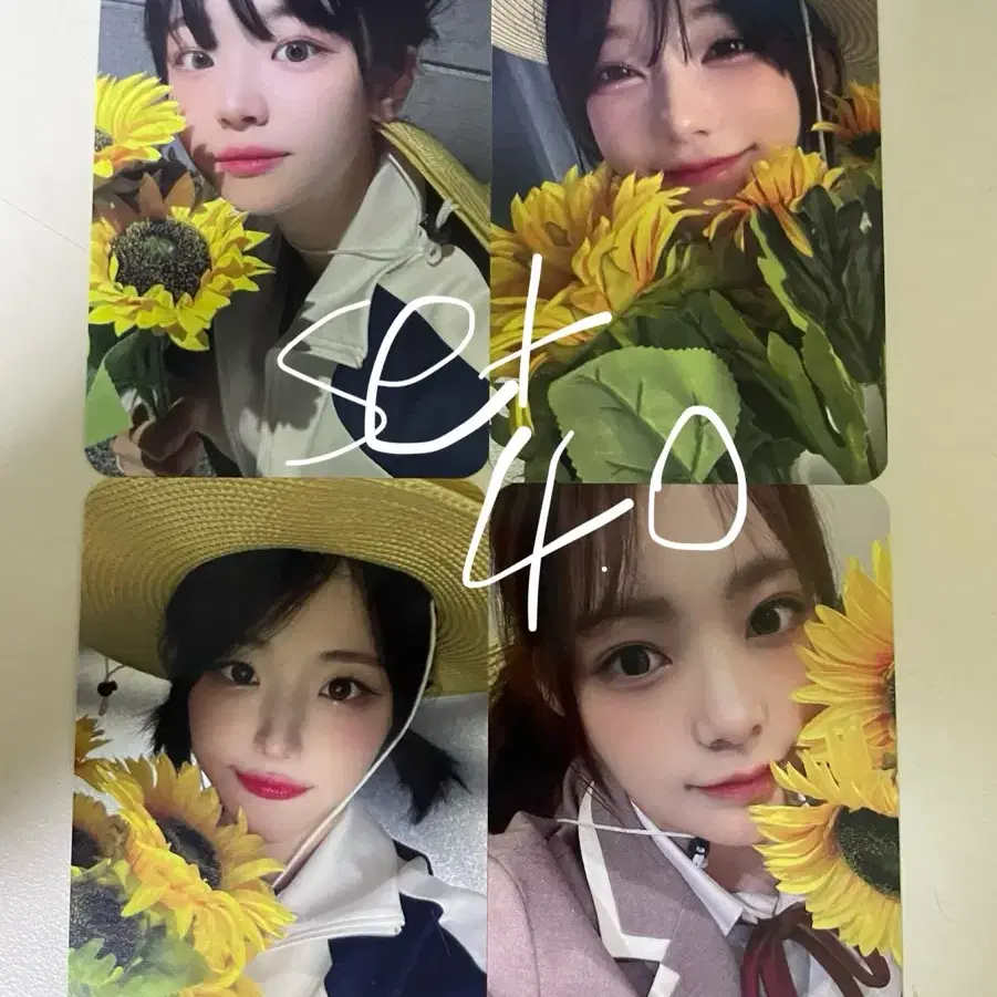 【当選】 QWER ヒナ トレカ MANITO 히나 포카 Amazon.co.jp: QWER MANITO ヒナ トレカセット hina : おもちゃ