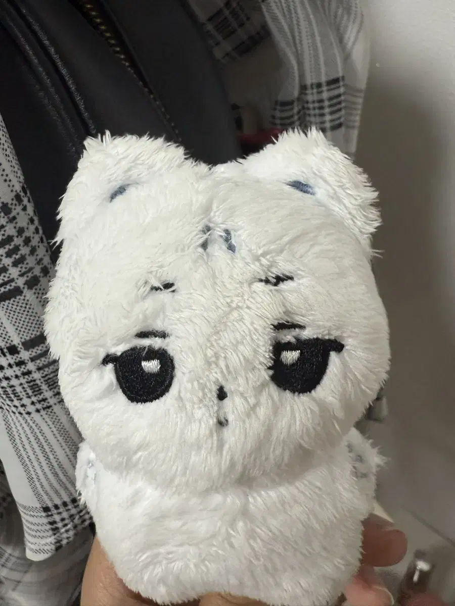 Price not lowered anymore) Aespa winter 10cm doll Sodadung