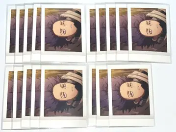 나의 히어로 아카데미아 히로아카 파샤코레 6기~7기 심조인