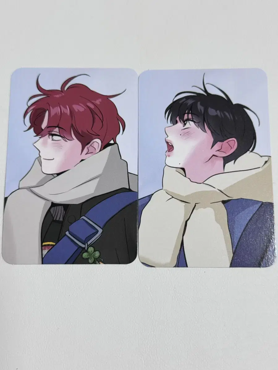 Second Ecco Arctic Fox Dream Place Is Weird Photocard Poca Set WTS
