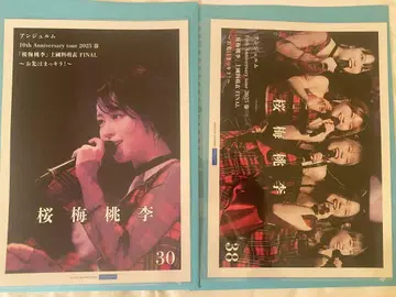 안주루무 카미코쿠료 모에 졸업 네이비 핑포스 2장 세트