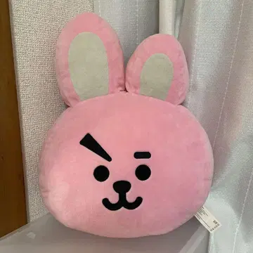 BTS 쿠션