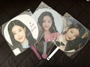 IZ*ONE IVE 원영 부채 정리