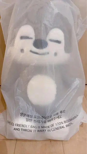 SKZOO PLUSH TEDDYBEAR 테디베어 울프짱