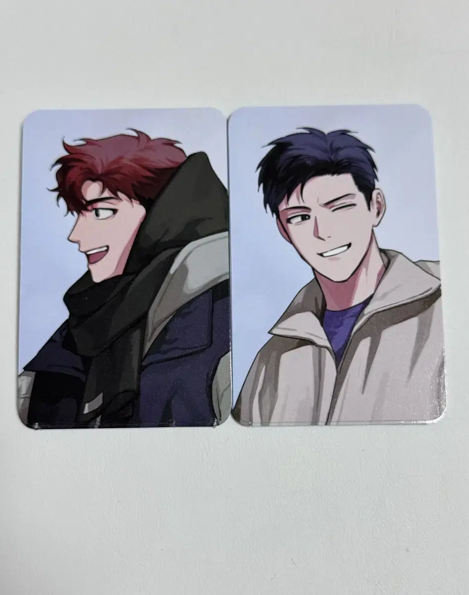 Second Ecco Arctic Fox This Year is Different Photocard Poca Set wts