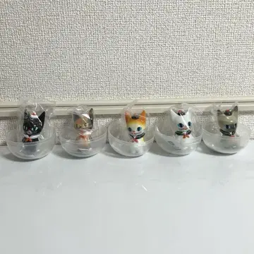 VAG39 my little Teo 전 5종 세트