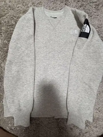 THE NORTH FACE 그레이 V넥 맨투맨 S