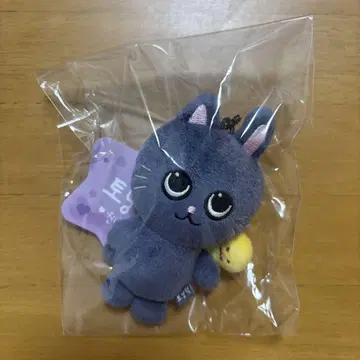 RIIZE PARK 원빈 토냐드 8cm 키링