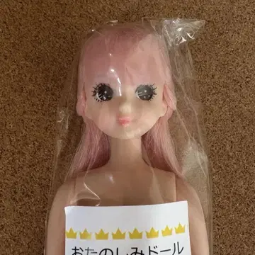 리카짱 캐슬 리틀 팩토리 오타노시미 인형 히나짱