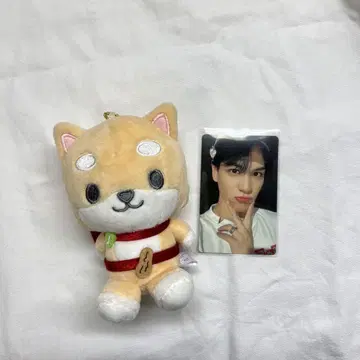 JO1 JOCHUM 마메치 마메하라 잇세이 봉제 인형 마스코트