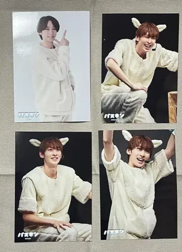 파스킨 랜덤 브로마이드