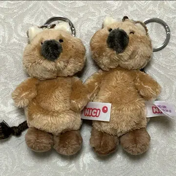 nici 키링 왈라비