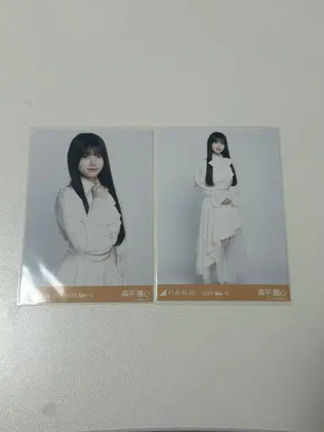 모리히라 레이코 빅 보타이 블라우스 추히키