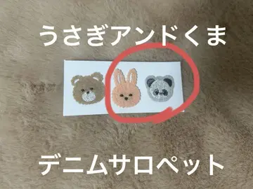 치비누이 의류 오더