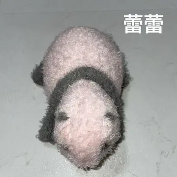 우에노 동물원 실제 크기 팬더 새끼 봉제 인형 새싹 생후 10일