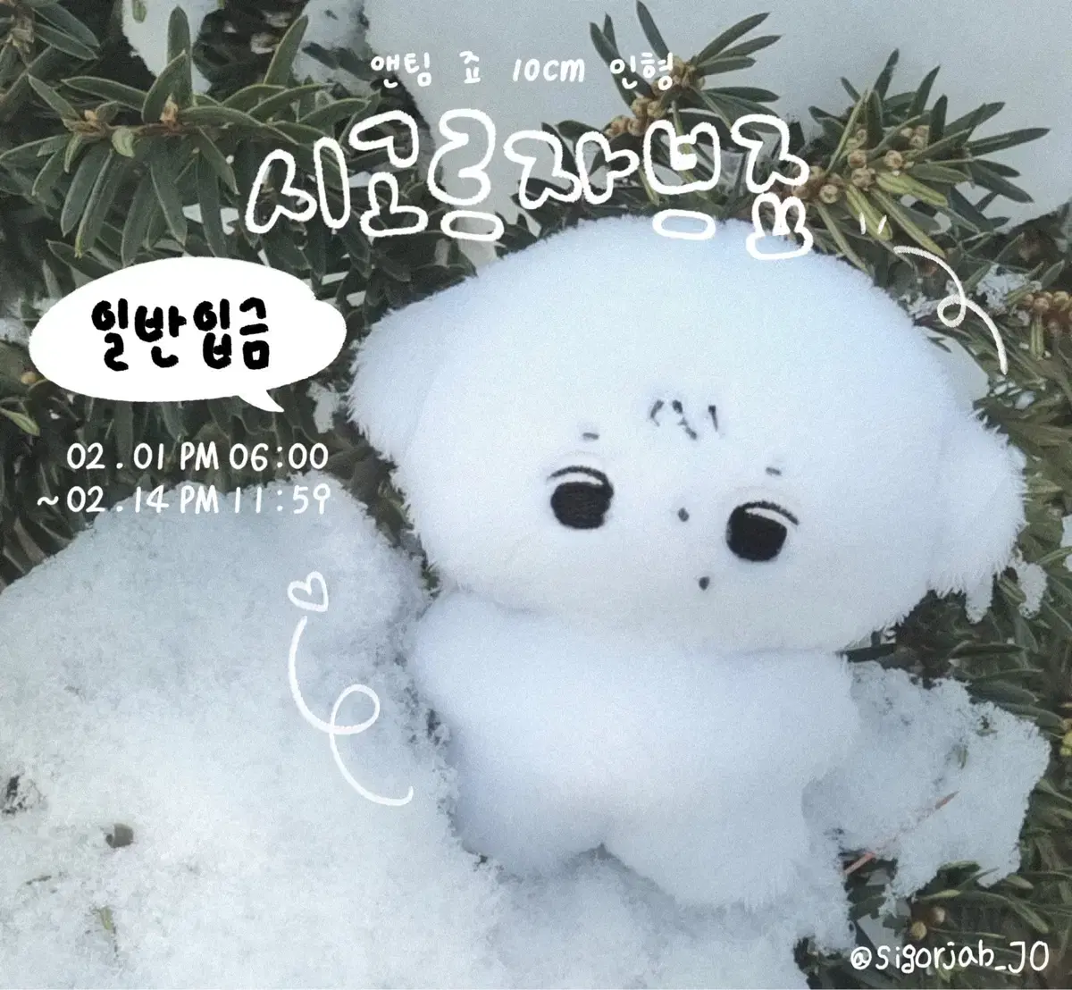 시고르자브죠 양도 앤팀 죠 조
