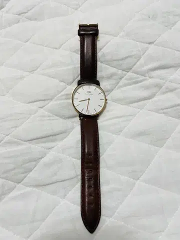 Daniel Wellington 아날로그 손목시계 화이트/브라운
