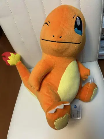 포켓몬 봉제 인형