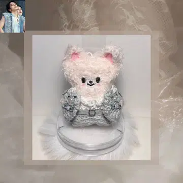SKZOO 스키즈 아이엔 포쿠시니 봉제 인형 skzoo micro