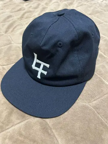 오드리 도쿄돔 라이브 캡