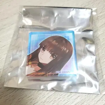 fate 자비코 아크릴 배지