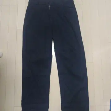 디키즈 874