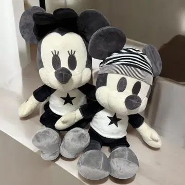 데코코레 래글런 BIG 봉제 인형 2개 세트