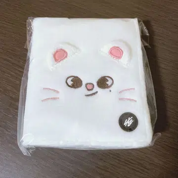 스키즈 포토 카드 케이스 현진