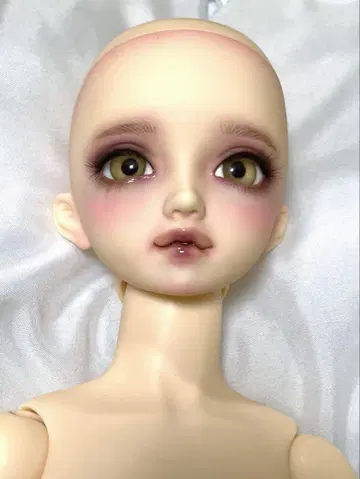 보크스 SD 사키 페어 피부 슈퍼돌피