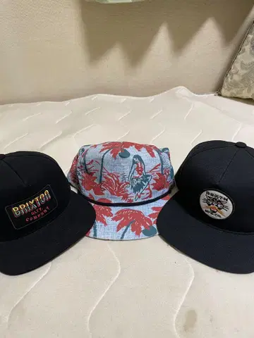 Brixton 캡 3개 세트