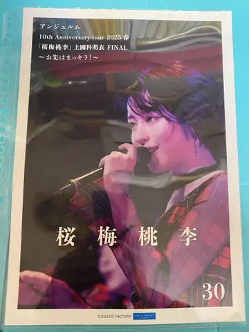 히라야마 유키 핑포스 30