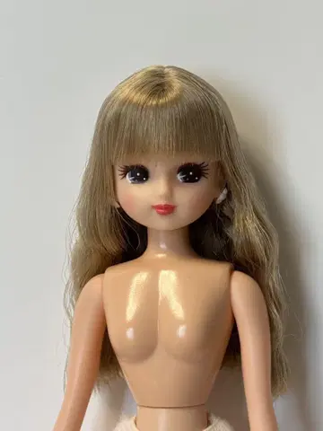 리카짱 캐슬 인형 쇼 54 모델