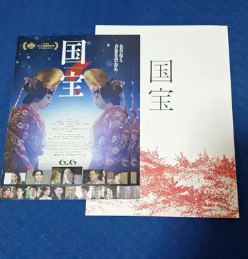 국보 팜플렛 플라이어 2장
