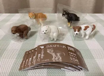 훈마리~누 훈마리~누 시바견 블랙 시바 토이푸 포메라니안 잭 러셀