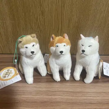 포근한 아키타견 하치베 VMC 3종 세트 마스코트 봉제 인형 마스코트