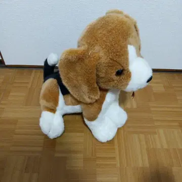 비글 봉제 인형 중형