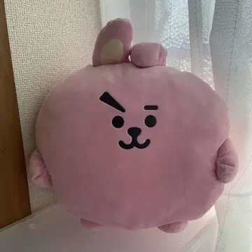 BTS 쿠키 폼폼 쿠션 30cm