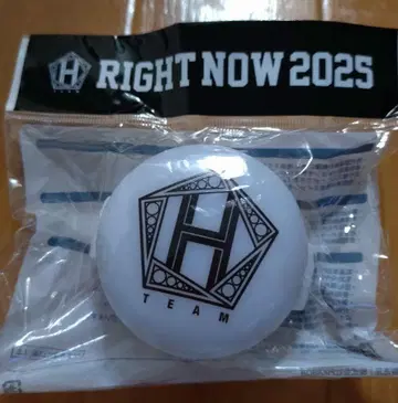 TEAM H RIGHT NOW 2025 응원봉