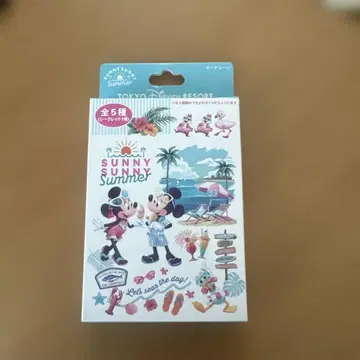 디즈니 써니 써니 썸머 키체인 칩과 데일