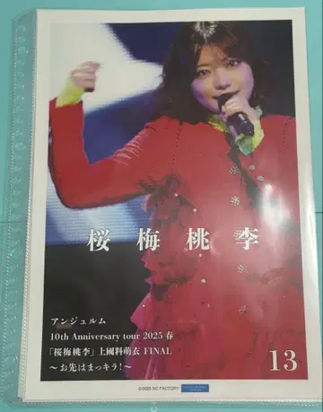 카와나 린 안주루무 벚꽃 매실 복숭아 핑포스 13