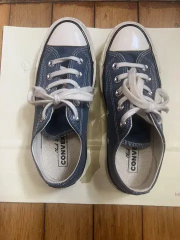 차츠크 테일러