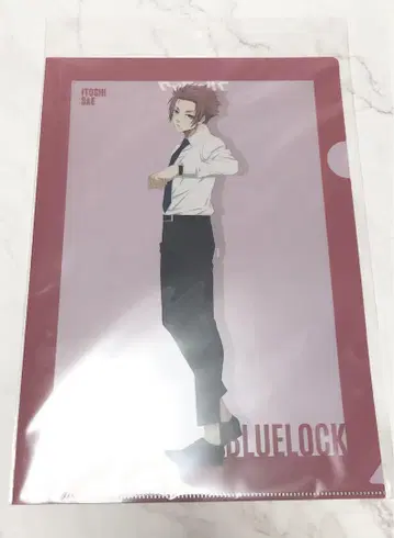 블루 록 이토시 사에 베이스 야드 클리어 파일