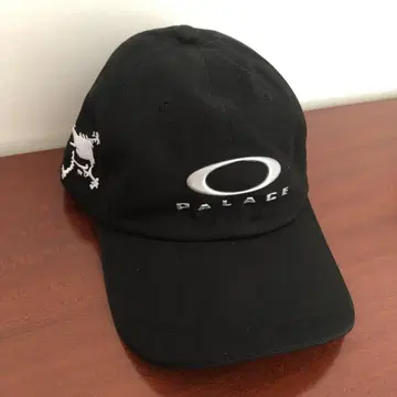 팔라스 오클리 6 패널 "블랙/실버"