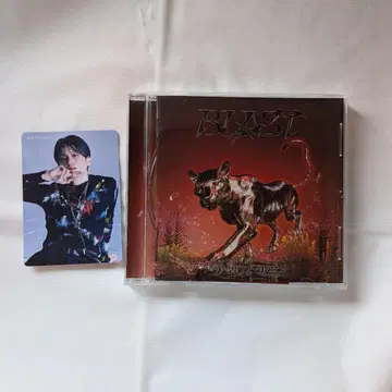 BLAST Universal 혜택 REI 씨