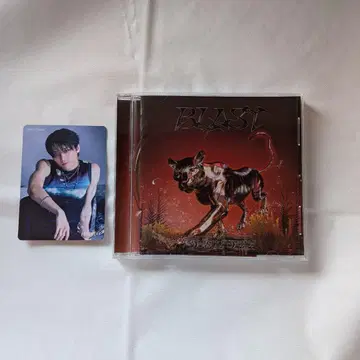 BLAST Universal 혜택 HAYATO 씨
