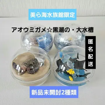 오키나와 미라쿠 수족관 카프리움 컬렉션 2종류 바다거북 대형 수조